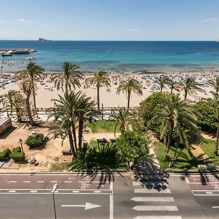 Flats Friends Atlantida *